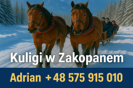 Zakopane Atrakcja Kulig Kuligi Zakopane 